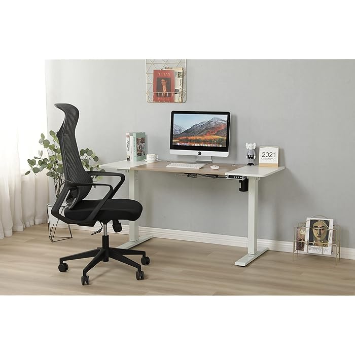 Buy RoyalPolar Sit Stand Home Office Ergonomic Electric Standing Desk