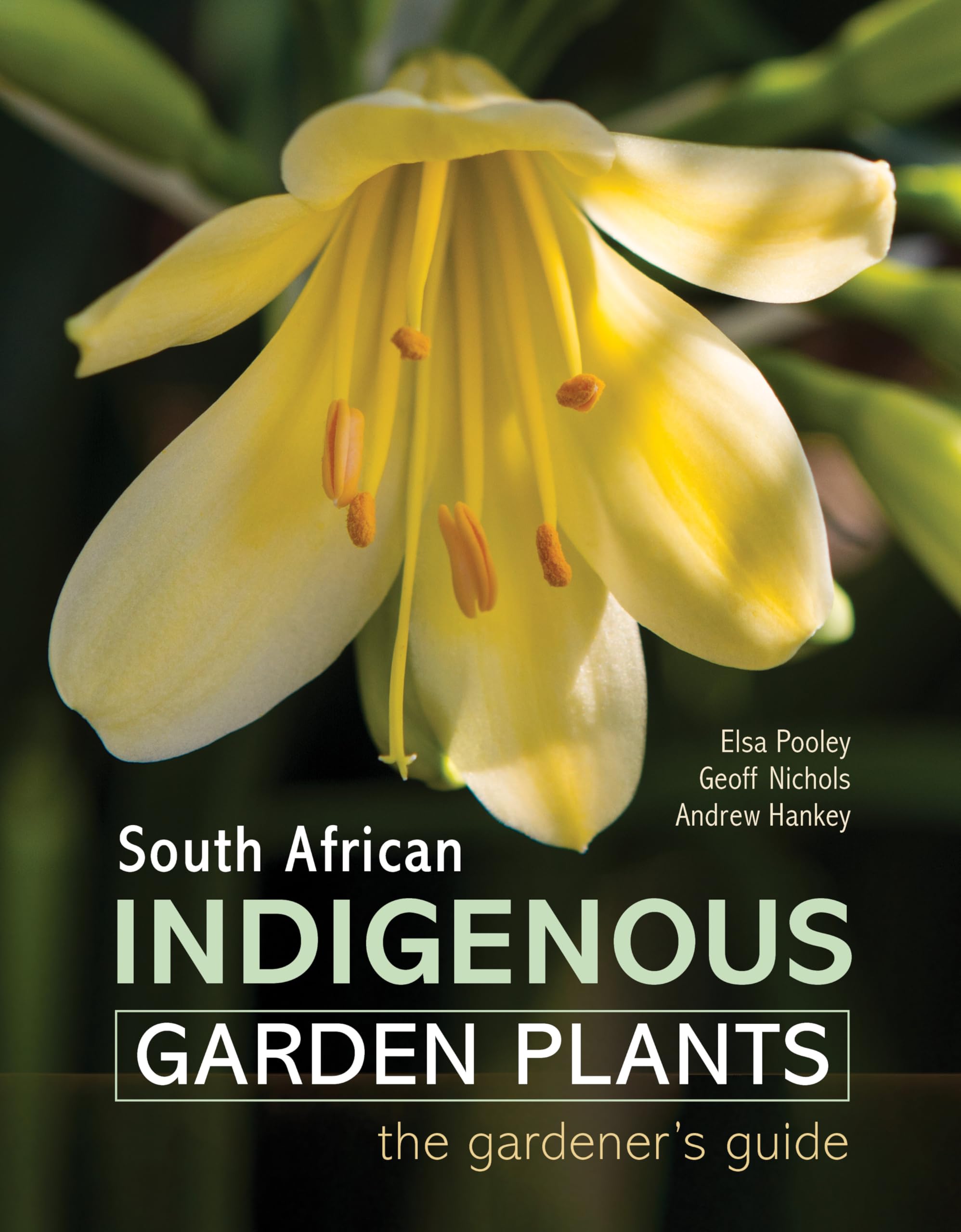 South African Indigenous Garden Plants – The gardener’s guide by Elsa Pooley