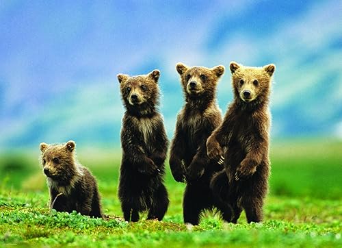 Miniatura 8 de EuroGraphics (EURHR Dragon Kingdom - Rompecabezas de 500 piezas de 500 piezas