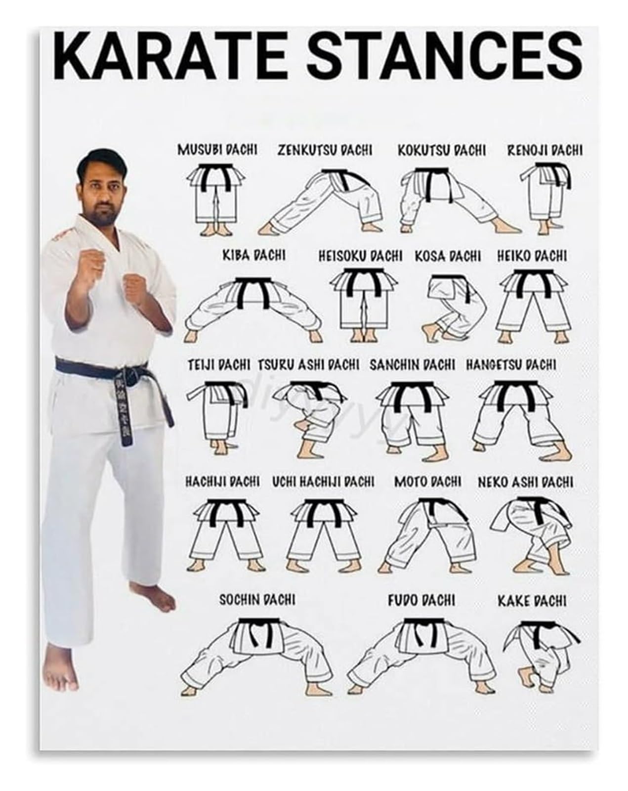 NWPNLXEA Essential Karate Stances Guide Poster Martial Arts Studio Canvas Wall-Art