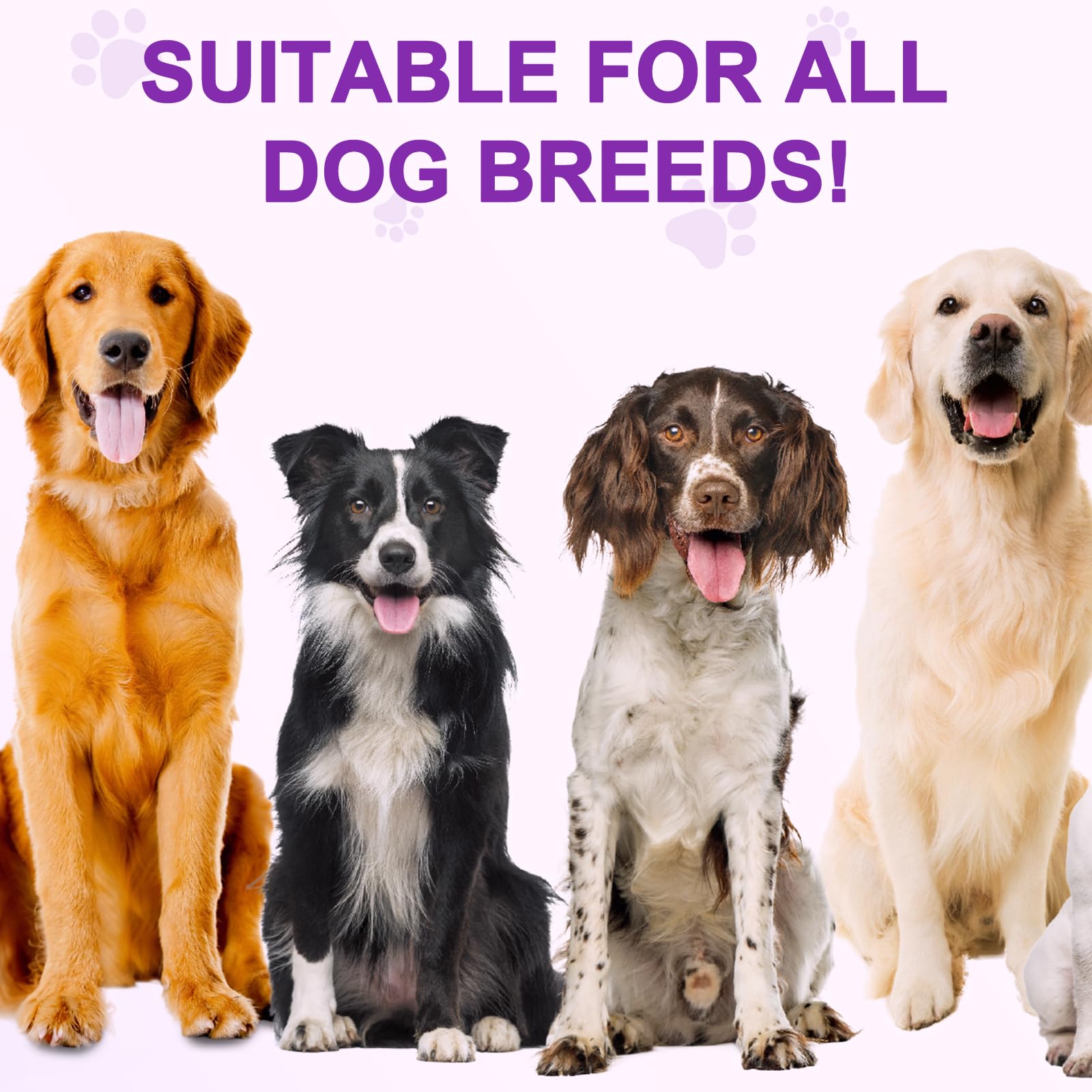 Snack Antiallergici per Cani contro Prurito, Leccamento e Caduta Pelo | 150 Bocconcini Morbidi | Sollievo Allergie Stagionali/Ambientali | Supporto Immunitario | Gusto Anatra alla Pechinese (1Pcs)