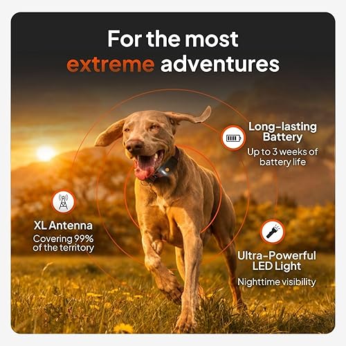 Miniatura 2 de Weenect Dog XT - Nuevo collar GPS para perros | Antena XL | Impermeable | Collar Julius-K9 integrado ultra duradero | Requiere suscripción