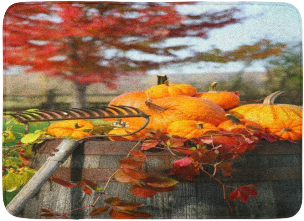 rastrello per tappeti a tappetino