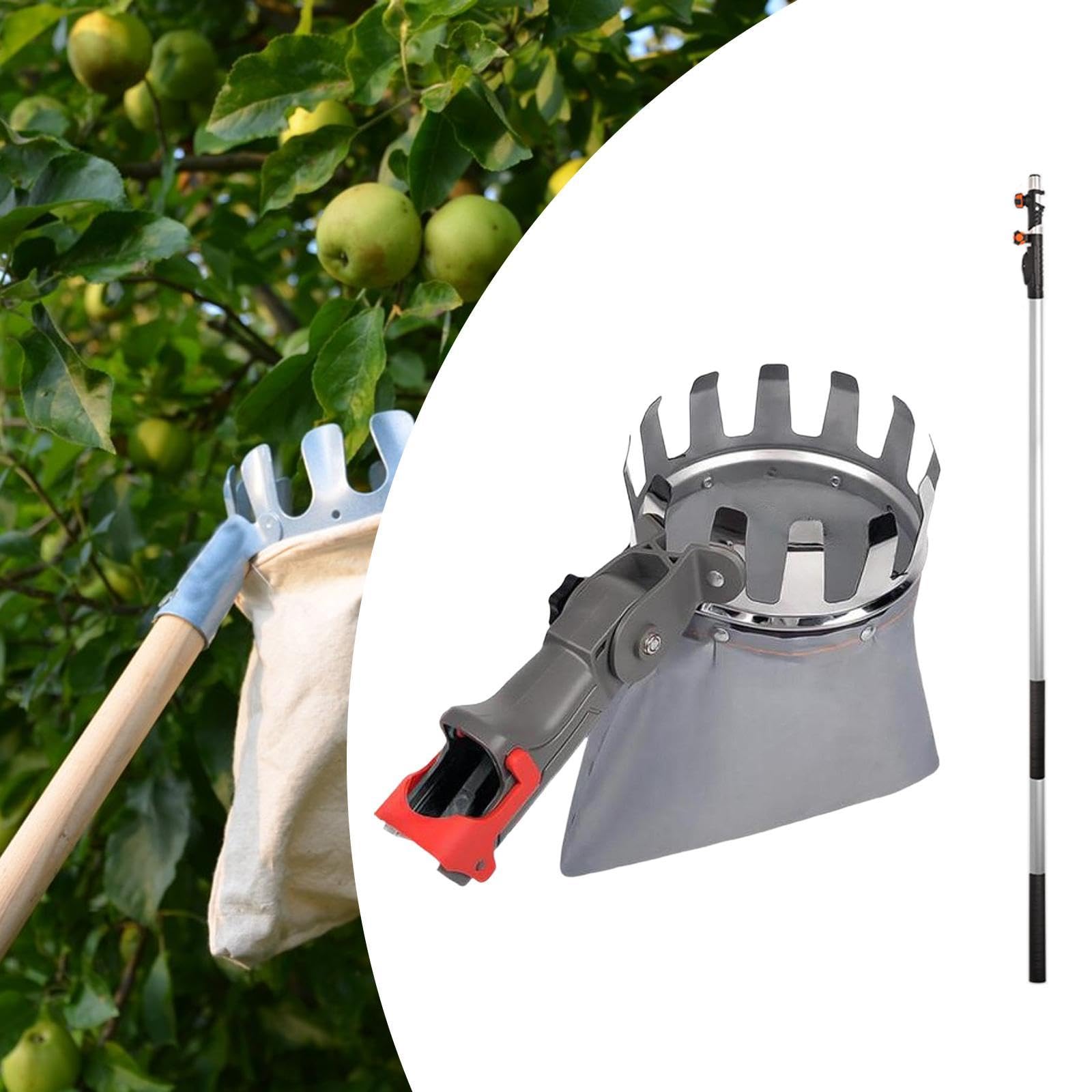 Nickelband, for Aprikosen, Pflaumen, Grapefruit