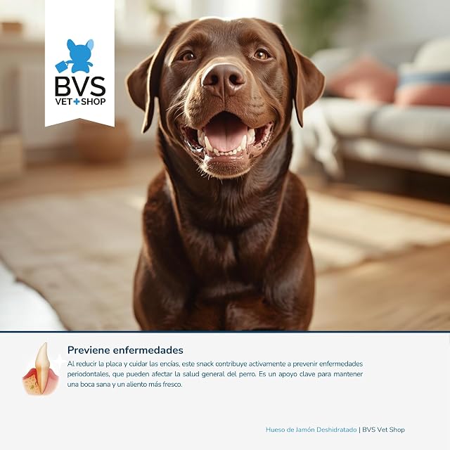 Foto 5 de 7 de BVS Vet Shop