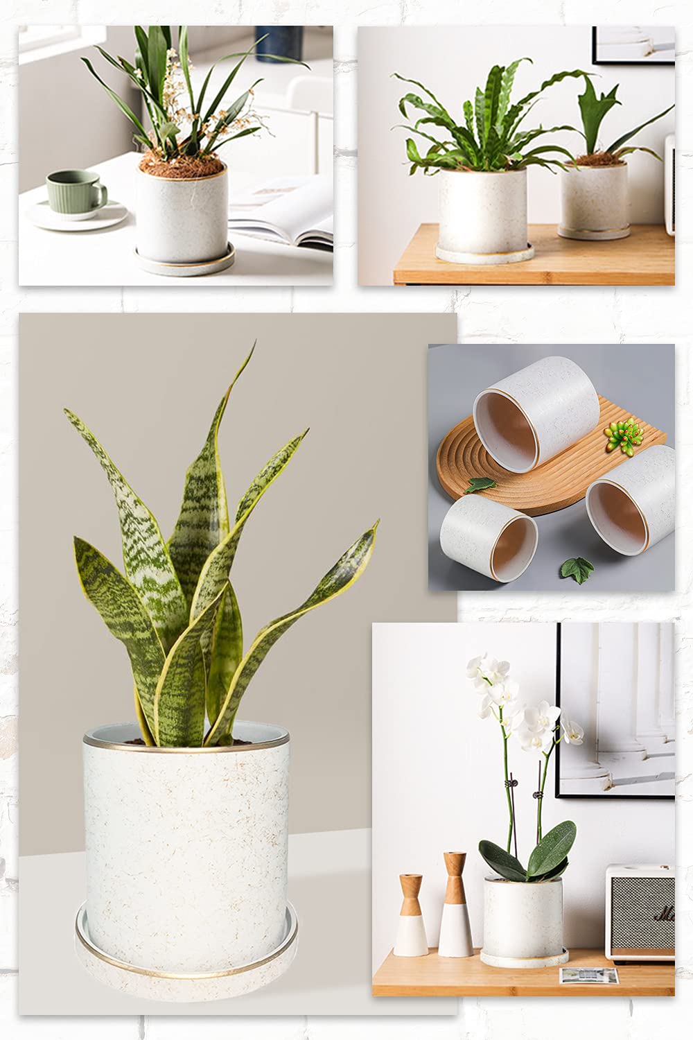 Amazon.co.jp: arcana 植木鉢 陶器鉢 おしゃれ 白 14cm 5号 ゴールド