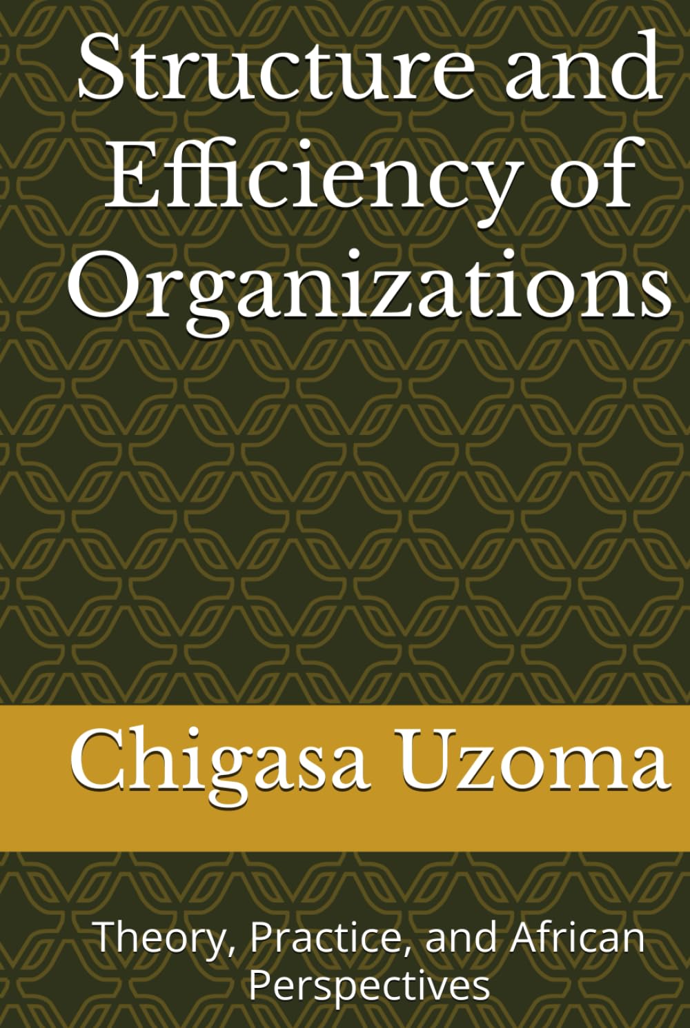 Structure and Efficiency of Organizations: Theory, Practice, and African Perspectives