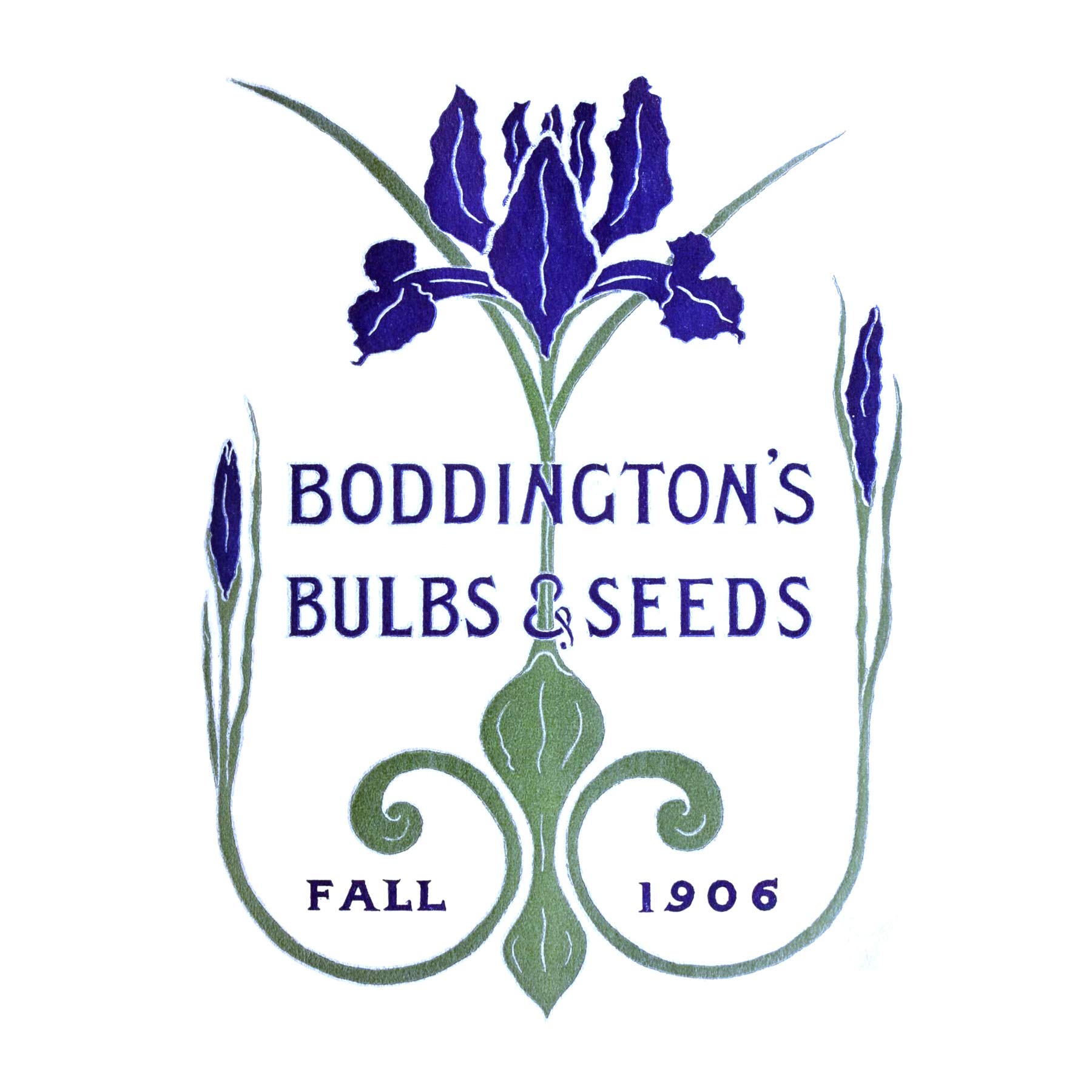 Fine Art PrintsVintage Advert Boddingtons Seeds Bulbs Fall 1906 Large Wall Canvas Premium Poster