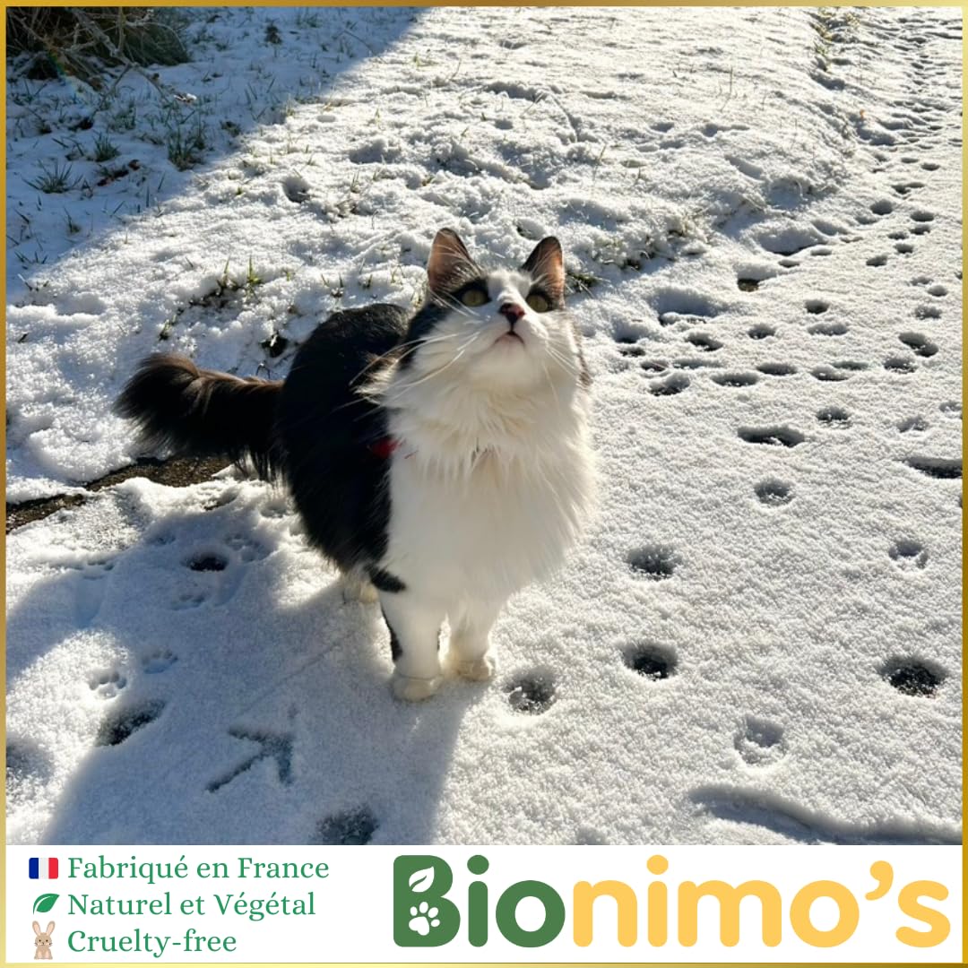 Répulsif Extérieur Chiens & Chats, Naturel et Végétal. Gritz de maïs, Huile de Sésame Bio. 100% Français. Protection efficace sur toutes surfaces confondues (pelouses, massifs, allées, terrasses)