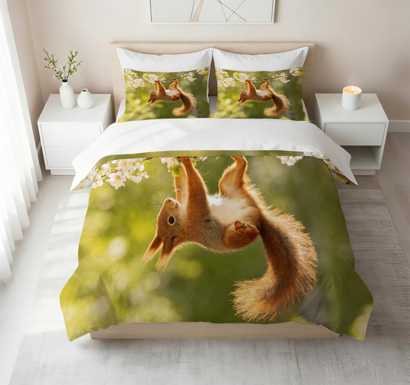 Funda Nórdica Cama 180 Ardilla Impresión 3D Microfibra Suave Ropa de Cama Fauna Silvestre Funda Edredon 240x260 cm con Cremallera y 2 Fundas de Almohada 50x75 cm l.946