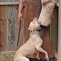 Vista 9 de SparkDog Collars HiFlex - Correa de repuesto para collar electrónico de ajuste rápido, para educador, Garmin, Dogtra, Sportdog, correa de repuesto