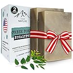 Fresh Forest Eucalyptus Soap Bar (2 Pack) with Spearmint for an Invigorating and Soothing Cleanse - Face & Body Wash - Infused with Shea Butter for Rich Creamy Lather & Long-Lasting Freshness
