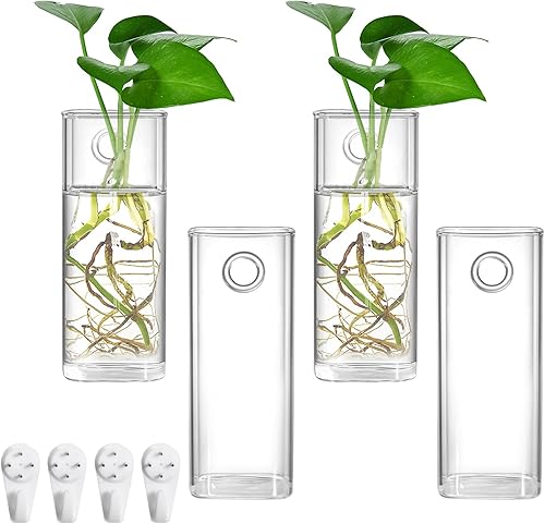 Fasmov Paquete de 4 macetas de cristal colgantes en la pared, terrario para plantas, plantas de aire, suculentas, flores, florero, contenedores de