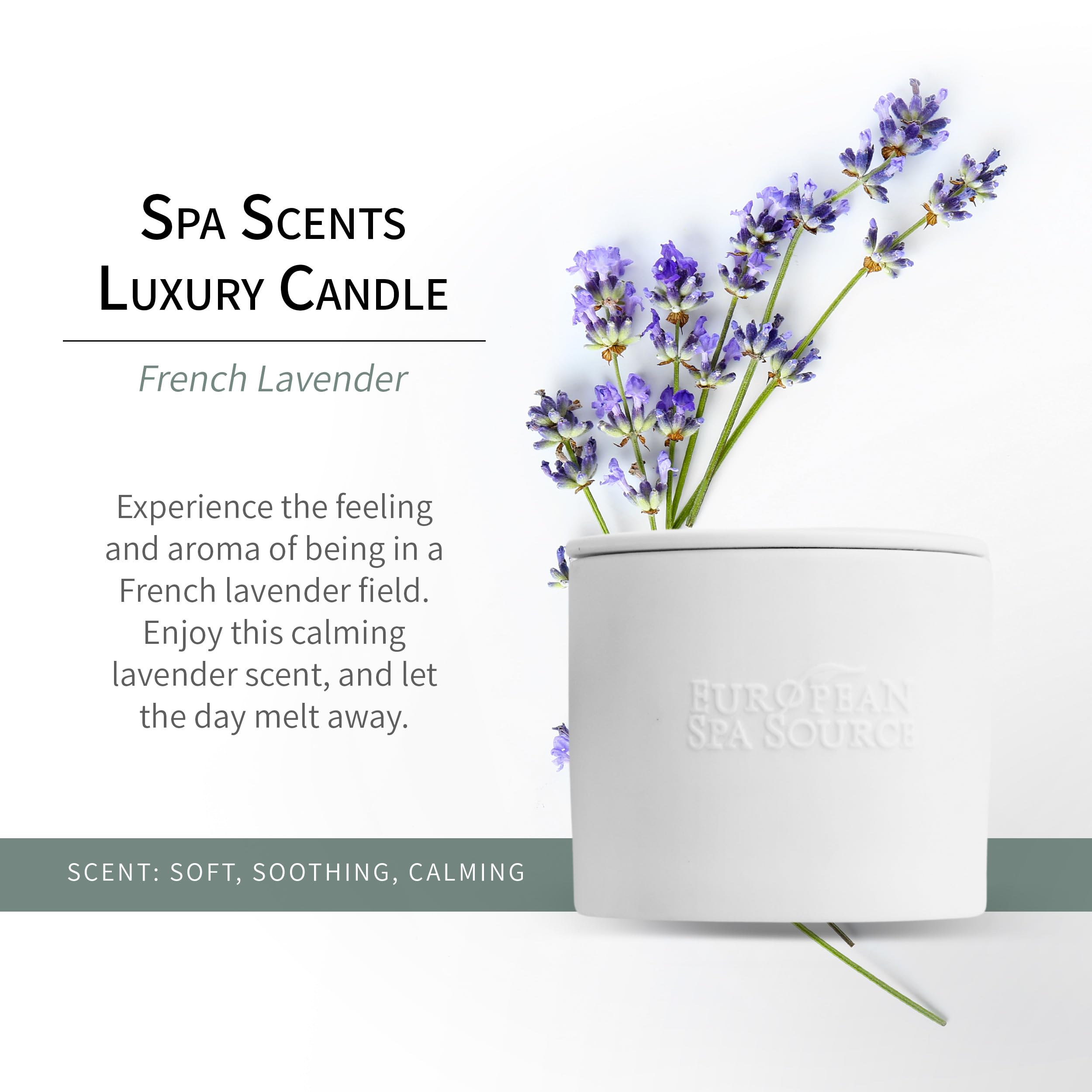 European Spa Source French Lavender Luxury Candle for Aromatherapy, Soy Wax Candle, Hand Poured, at Home Spa Experience Promoting Relaxation, 45 Hours of Burn Time