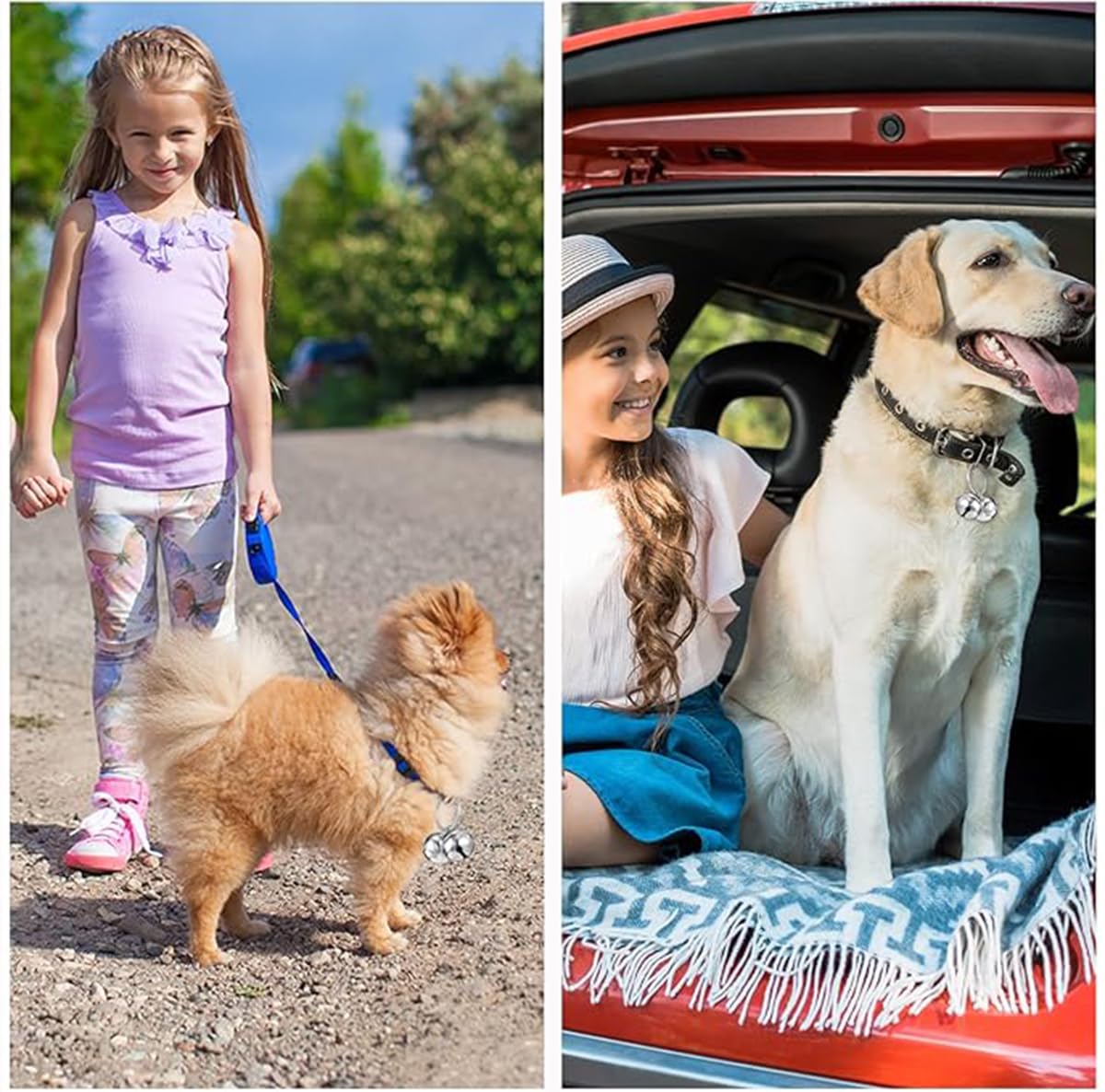 Campanelli per Collari per Cani e Gatti, 4 Set Campanelli Extra Rumorosi per Collari, Collare Papillon per Cani con Campanello che Suona, Silvery