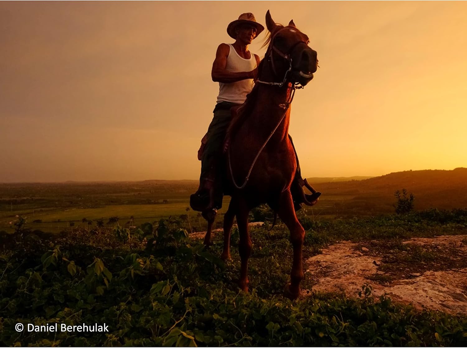 Get Special Price Panasonic H-X015E-K Leica DG SUMMILUX 15mm F1.7 ASPH Lens - Black