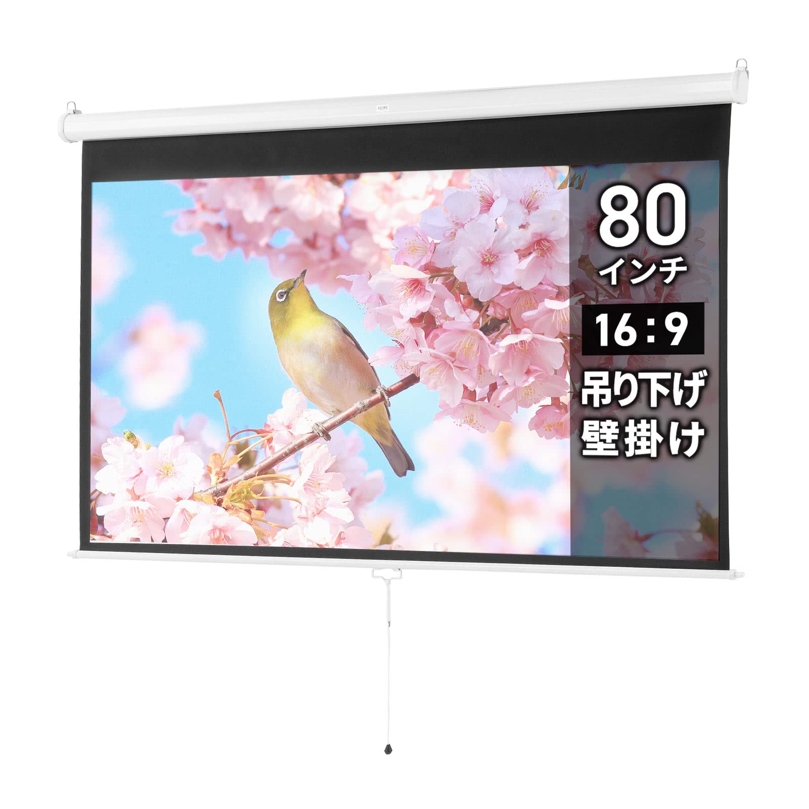 Amazon | イーサプライ プロジェクタースクリーン 80インチ 吊り下げ式 