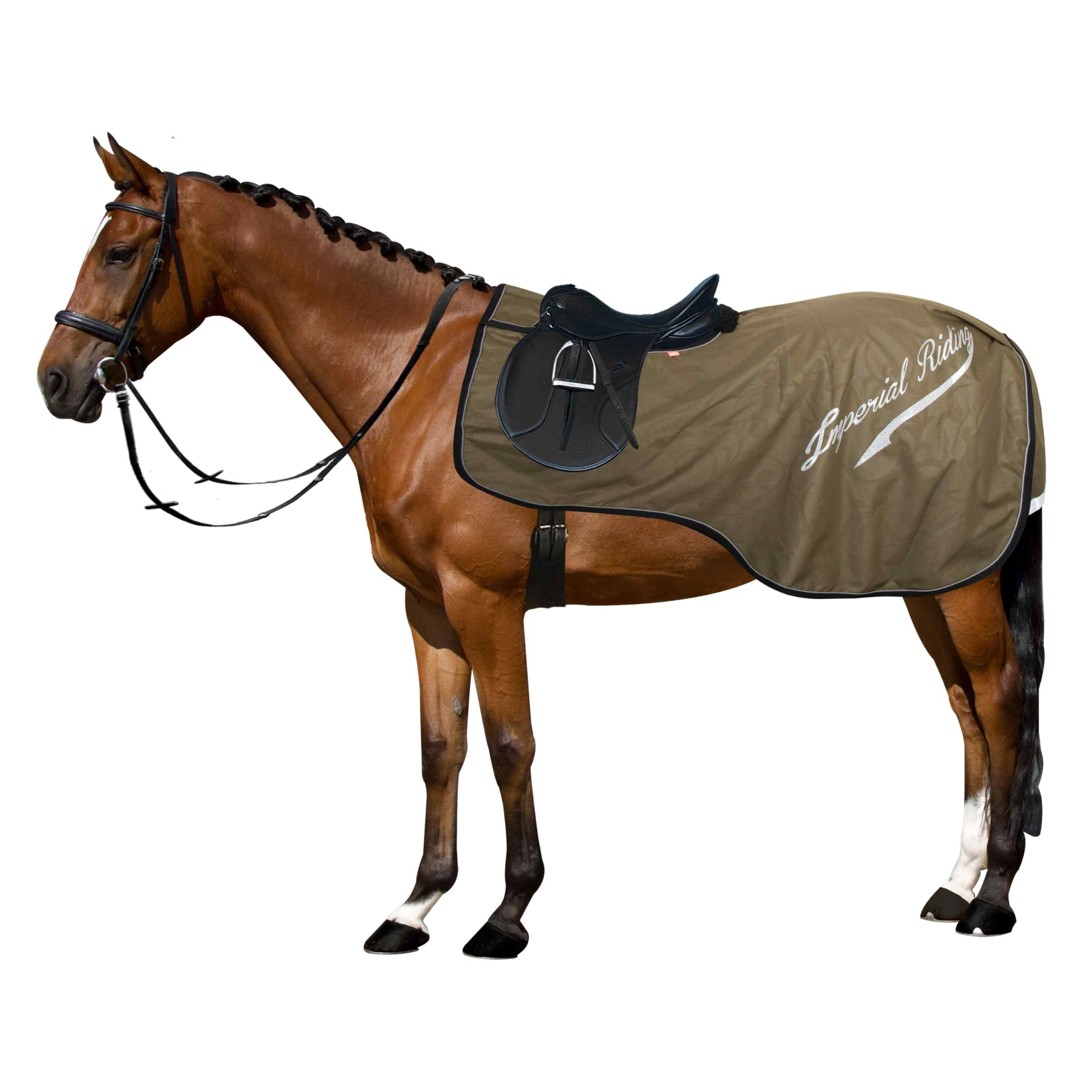 Imperial Riding Ausreitdecke IRH Super-Dry 0 g, wasserdichte Pferde-Abschwitz- und Trainingsdecke ohne Füllung mit Klettverschluss, Schweiflatz und reflektierenden Details, Olivgrün, M
