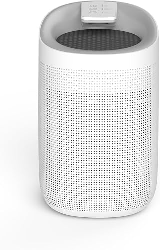 Crystal Aire Q9 2-in-1 Compact Dehumidifier and HEPA Air Purifier