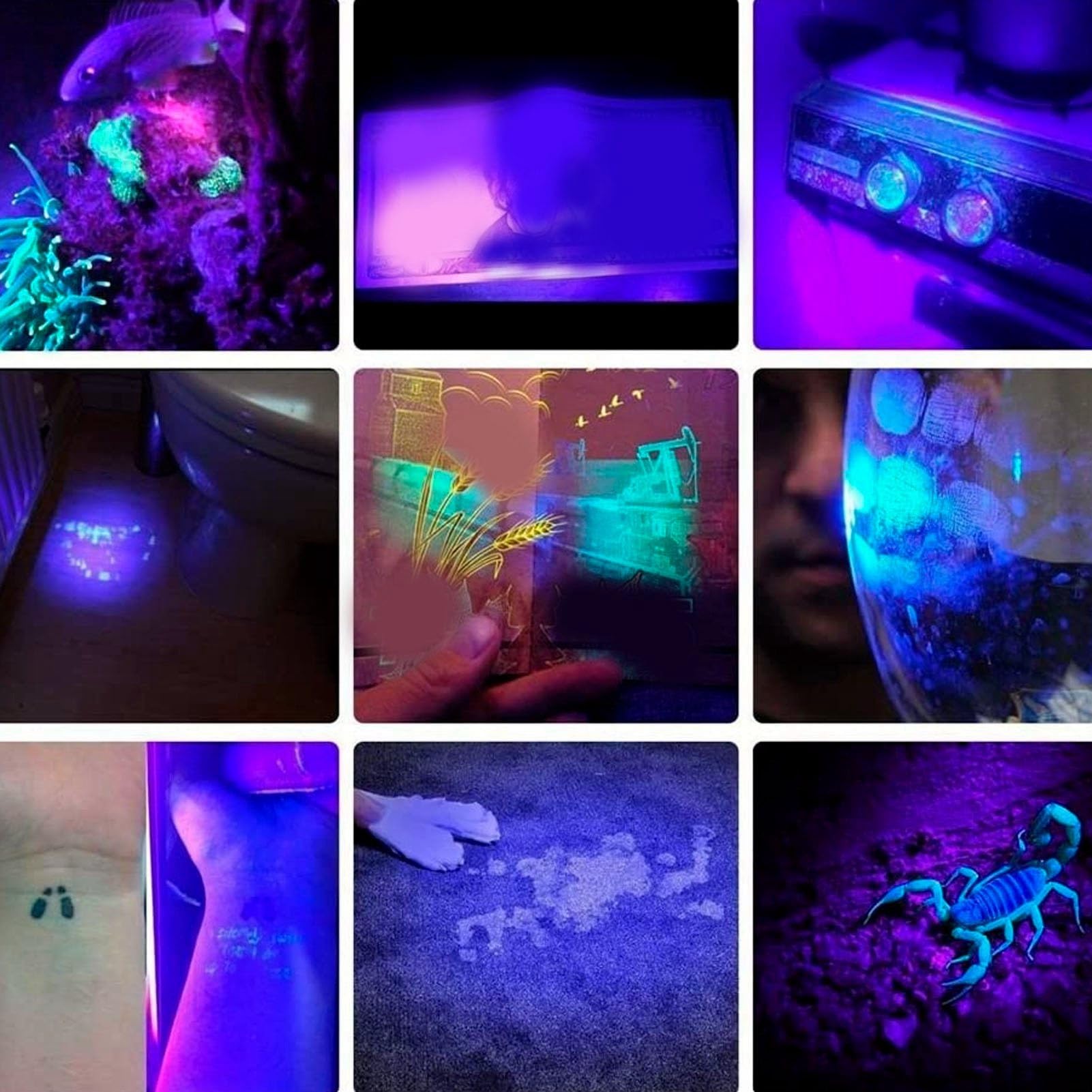 Torcia Ultravioletta 365nm Torcia UV Lega di Alluminio LED a