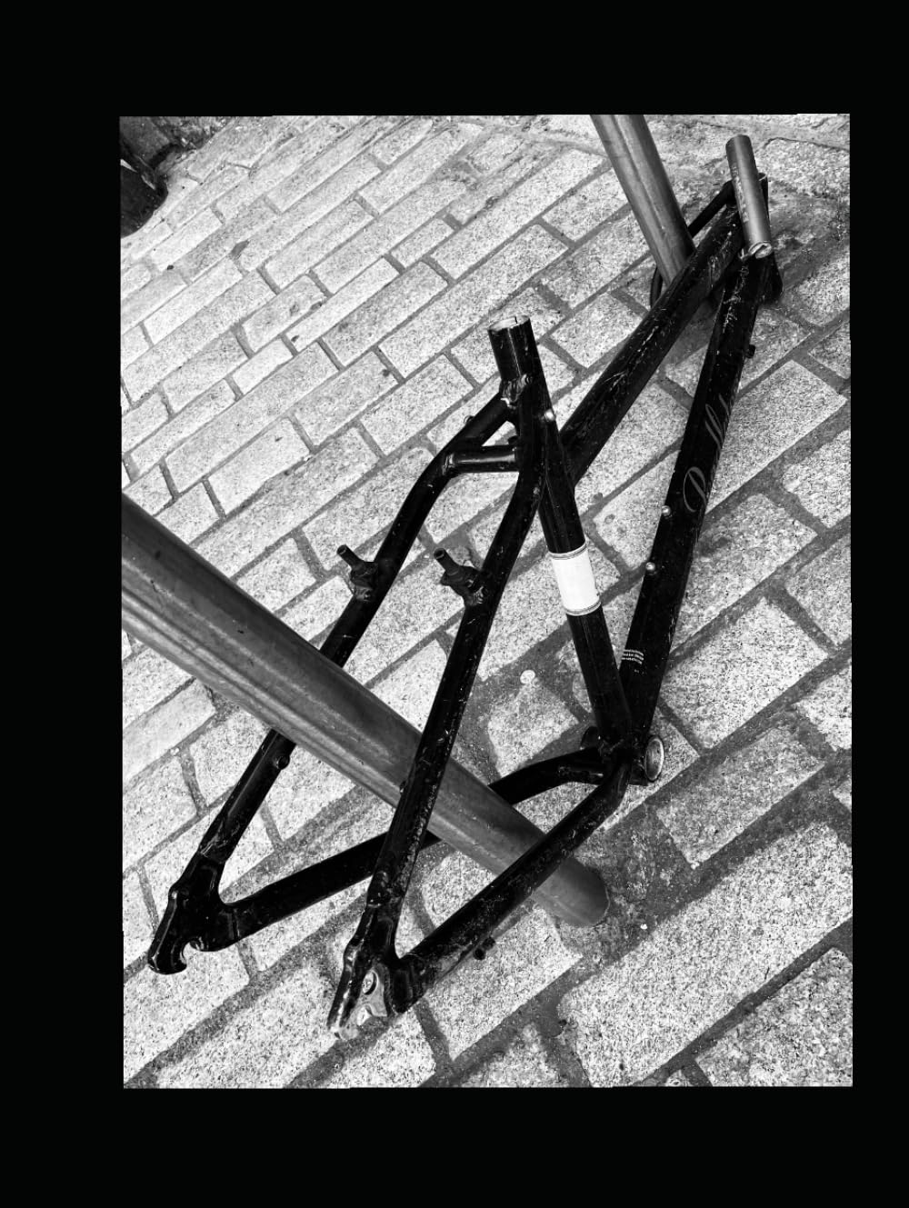 Livre de vélo captivant : photographie d'art et mécanique de bicyclette