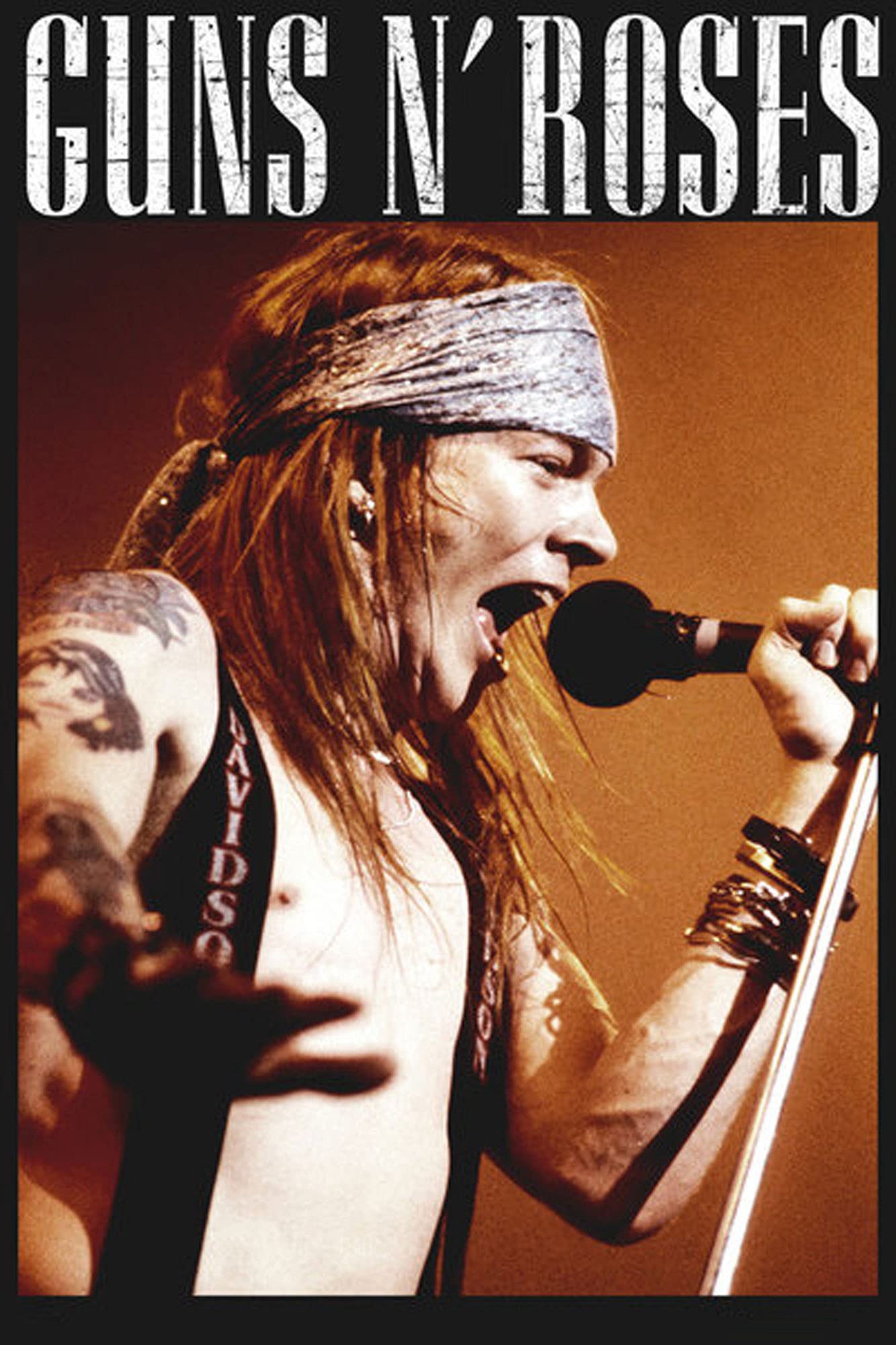 Bharat Udyog Guns N' Roses Poster - Axl Rose Music Band Wall