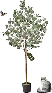 6FT Artificial Eucalyptus Tree,Artificial Plants Indoor,Faux Eucalyptus Tree Indoor with Natural Wood Trunk and Realistic Leaves and Fruits for Home Office Decor