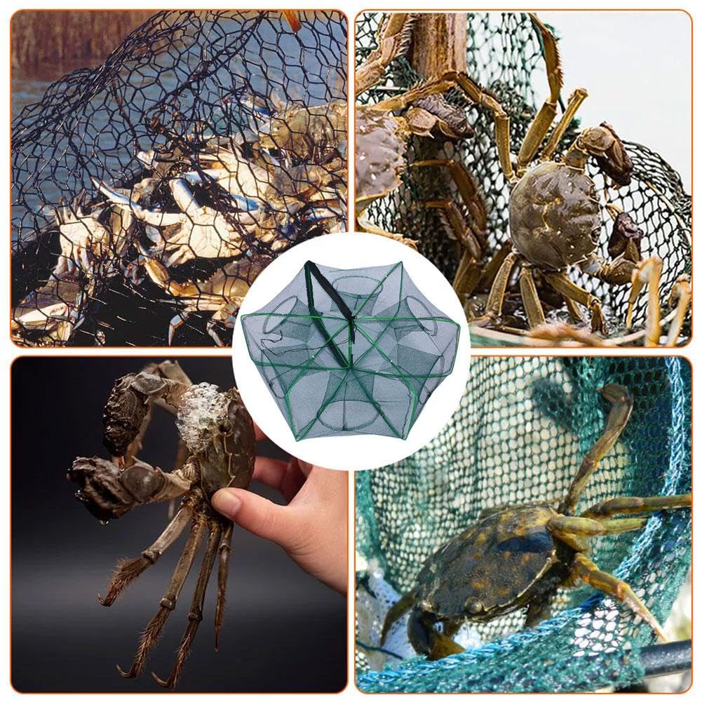 Piège à Poisson Pliable 54 Cm – Filet De Pêche Portable Pour Crevettes, Crabes, Homards & Poissons – Avec Sac Appât & Grande Fermeture Éclair