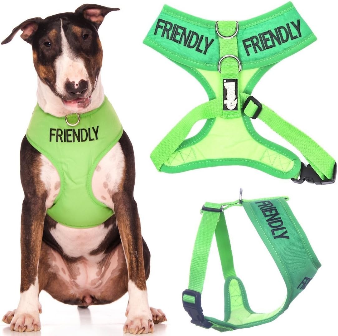 dexil dog harness