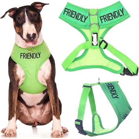 dexil friendly dog collars