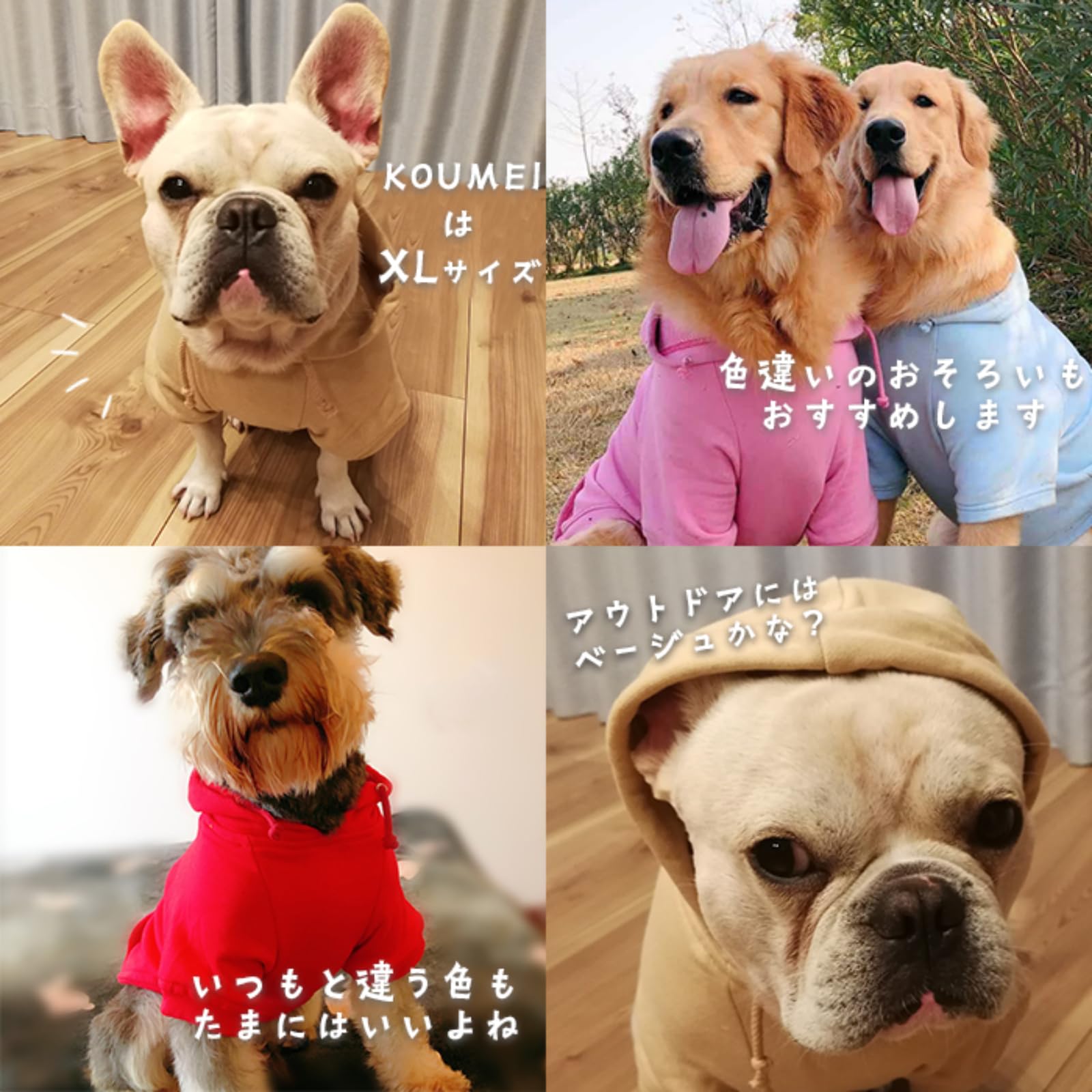 【ブルドッグストア】 Champion/別注 ブルドッグ フロッキー プリント スウェット