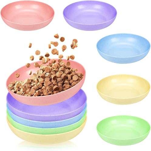 TKOnline 10 Pcs Cat Food Bowl, 5.6 Inch Plastic Shallow Pet Food and Water Dish for Relief Whisker Fatigue, Wide Cat Wet Feeding Bowls, Small Flat Dish for Indoor Outdoor Kittens Dogs