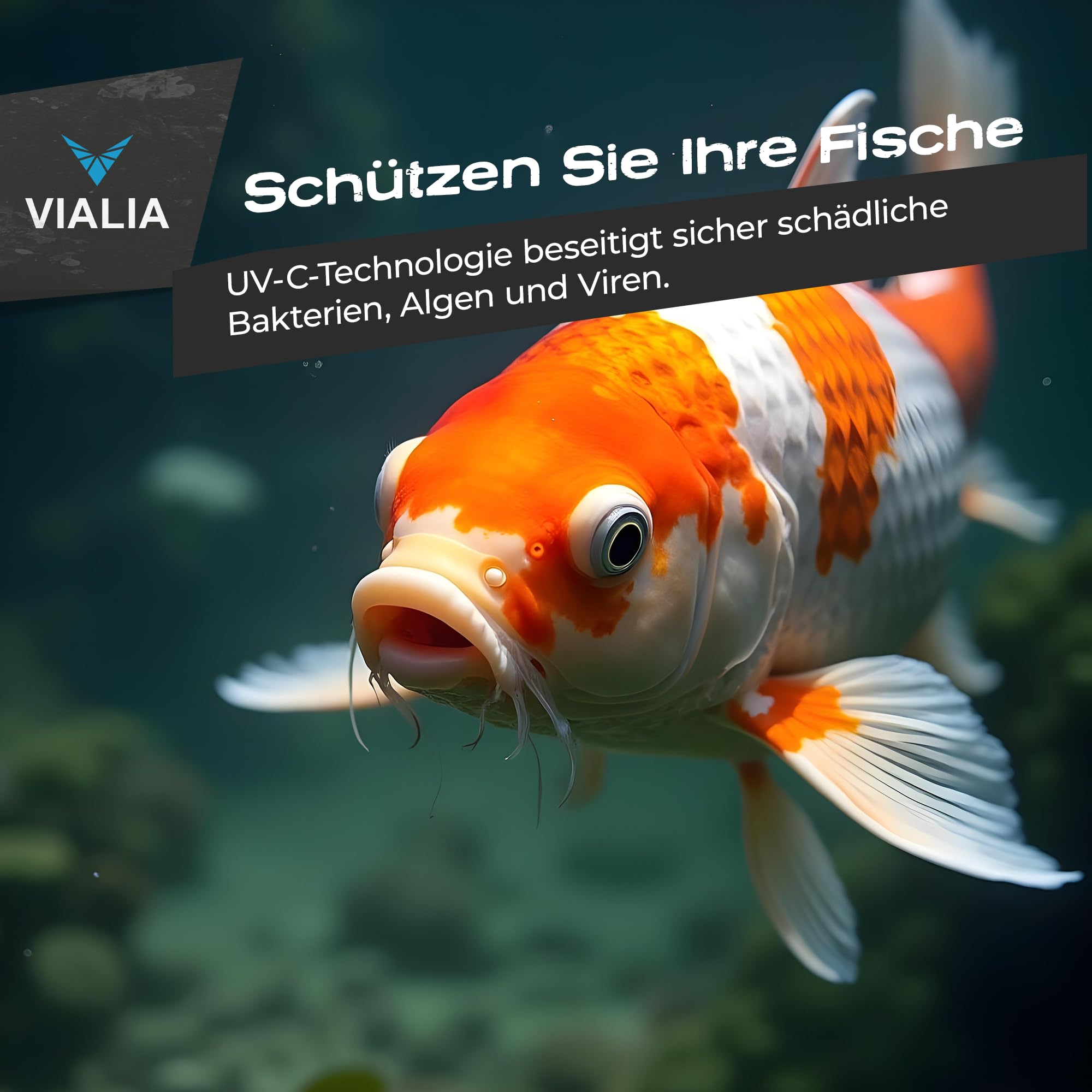 UVC Teichklärer SUV-724 RVS 24 Watt Edelstahl Wasserklärer | Algenvernichter für Teich & Aquarium bis 40 m³, Durchfluss 5 m³/h, Inkl. 4 Schlauchnippel 38/50mm & 2" Gewinde