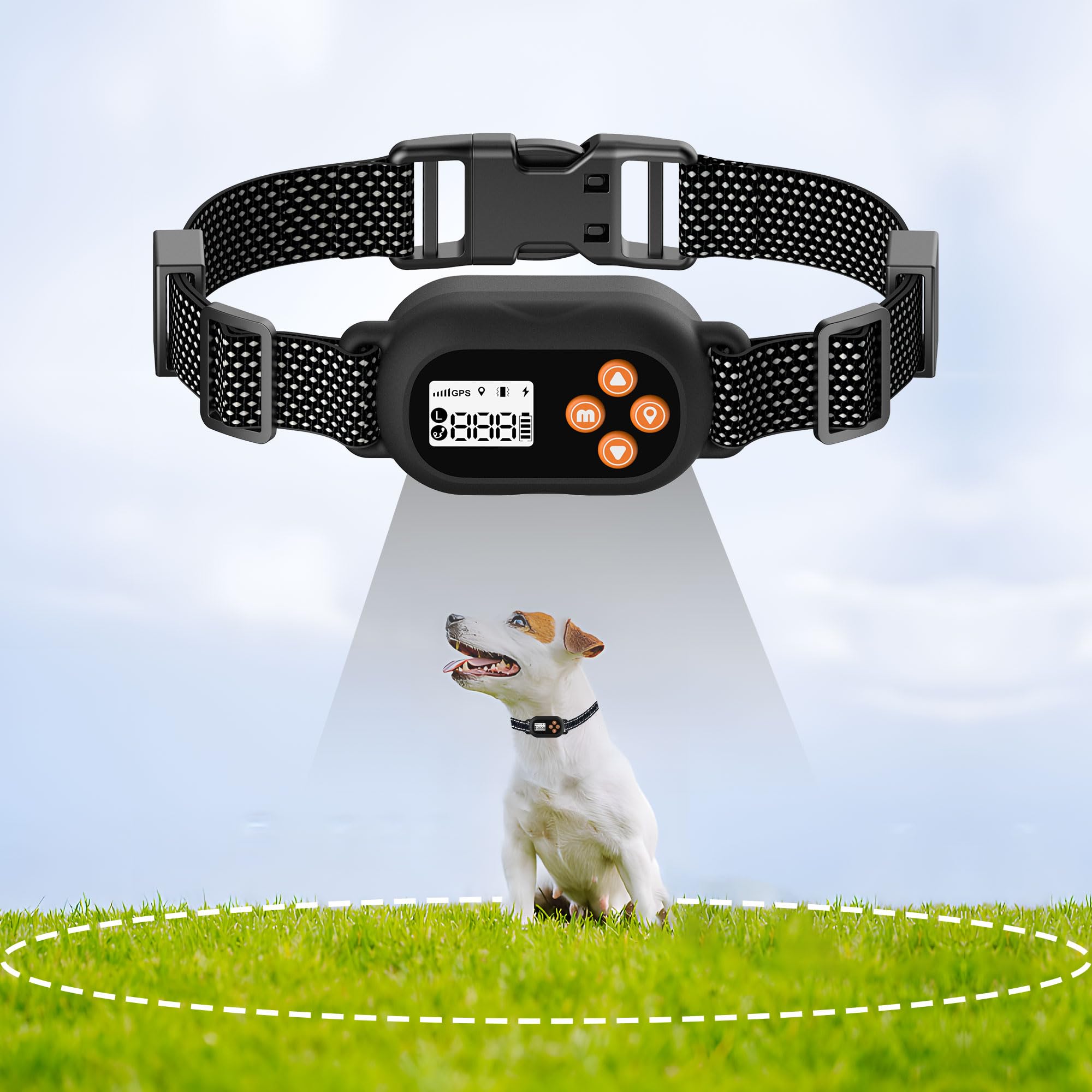 CLOTURE ELECTRIQUE POUR CHIEN COLLIER ANTI FUGUE - Animalerie