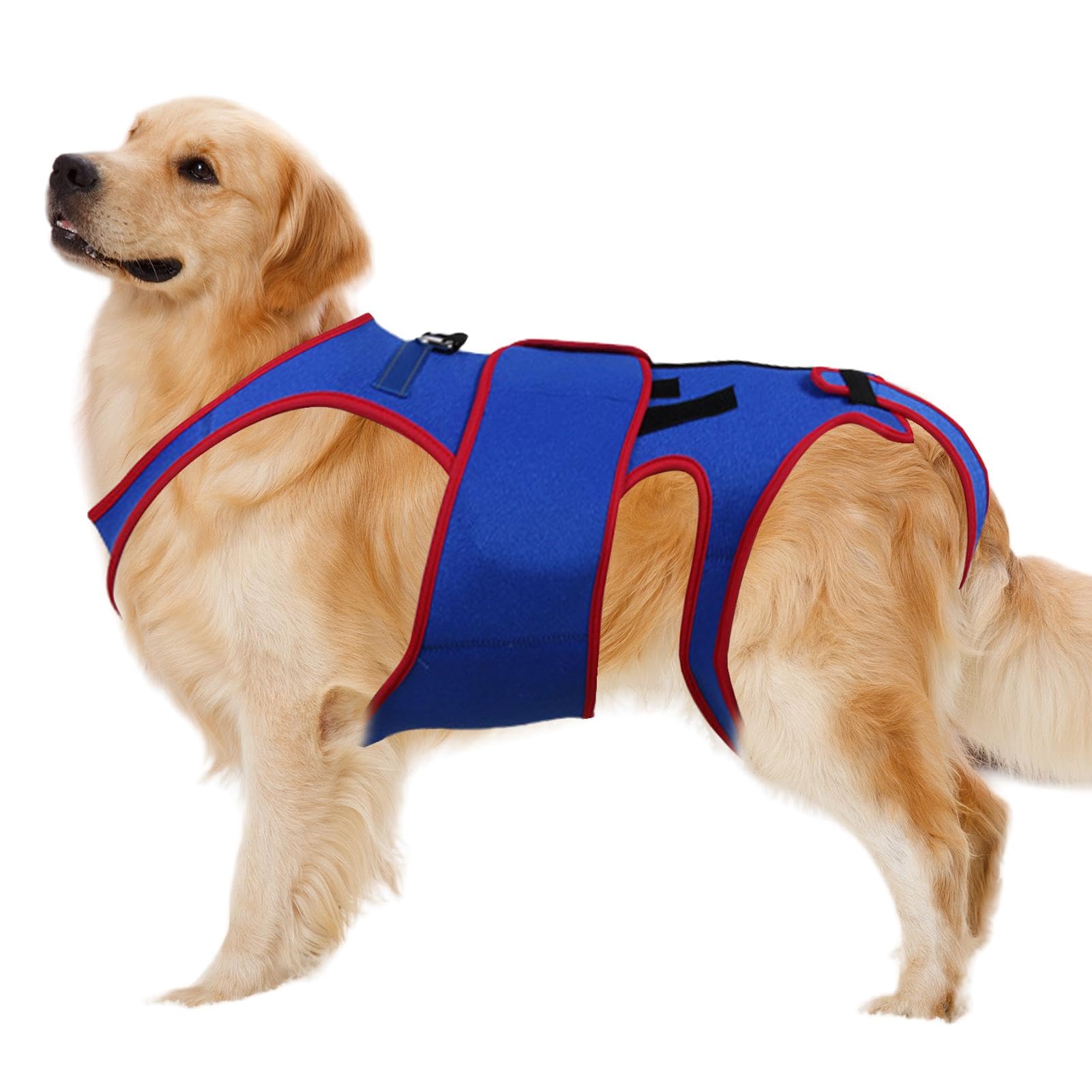 WJnflQN Small Dog Back Brace Spinal Support | Pet Back Bracer For IVDD,D-ring And Reflective Strips Dogs Back Brace Helps Small Dogs Soft Hip Leg Support Recovery And Rehabilitation