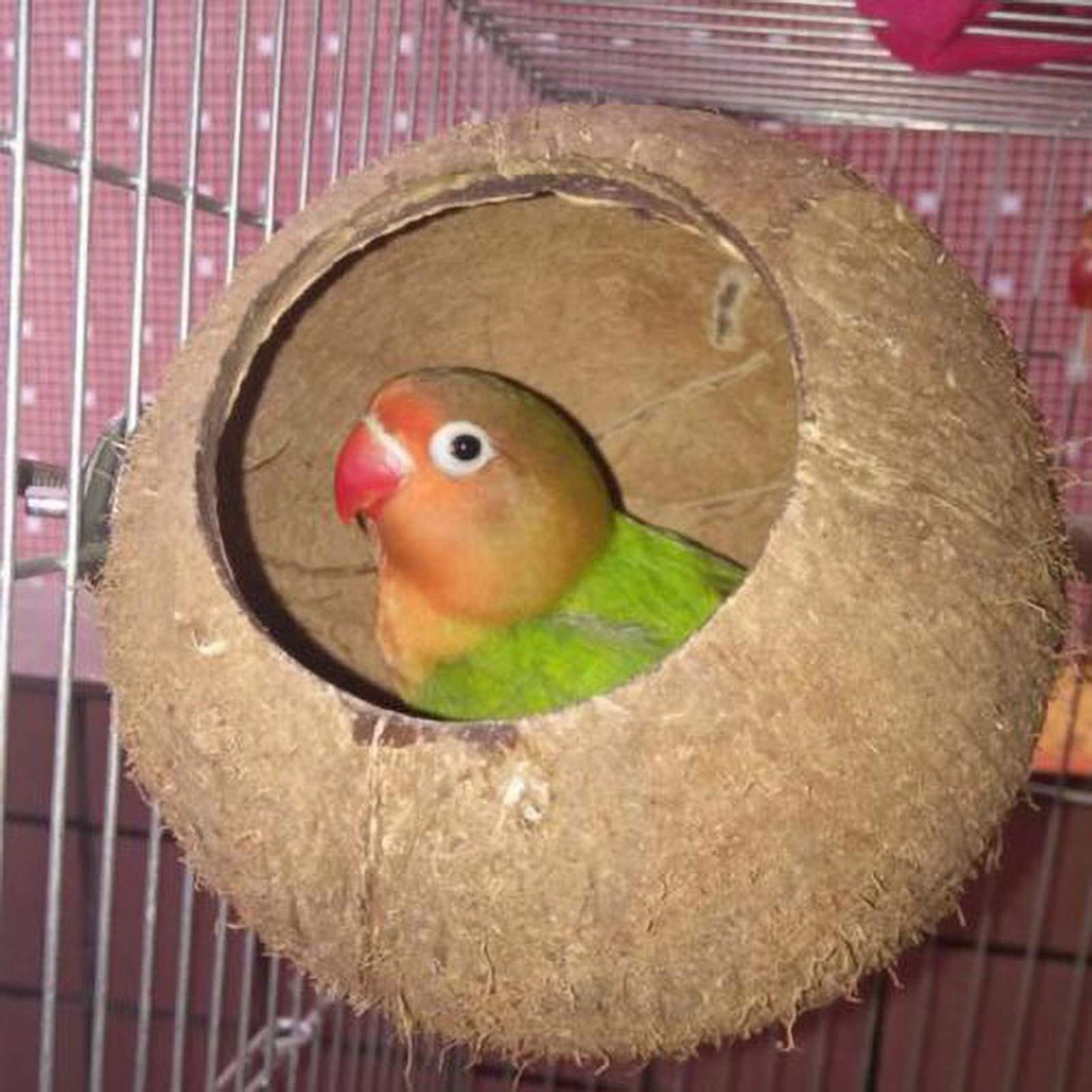 Casa para pájaros El Nido de pájaro de cáscara de Coco con Cordel es Conveniente para Colgar en el Patio del jardín, diámetro 10-12 cm, 13-14 cm, 14-16 cm (tamaño: 14-16 cm)