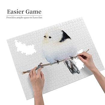 火の鳥展　500ピース　ジグソーパズル　38×53cm 91s0IVSzhgL._UF894,1000_QL80_.jpg