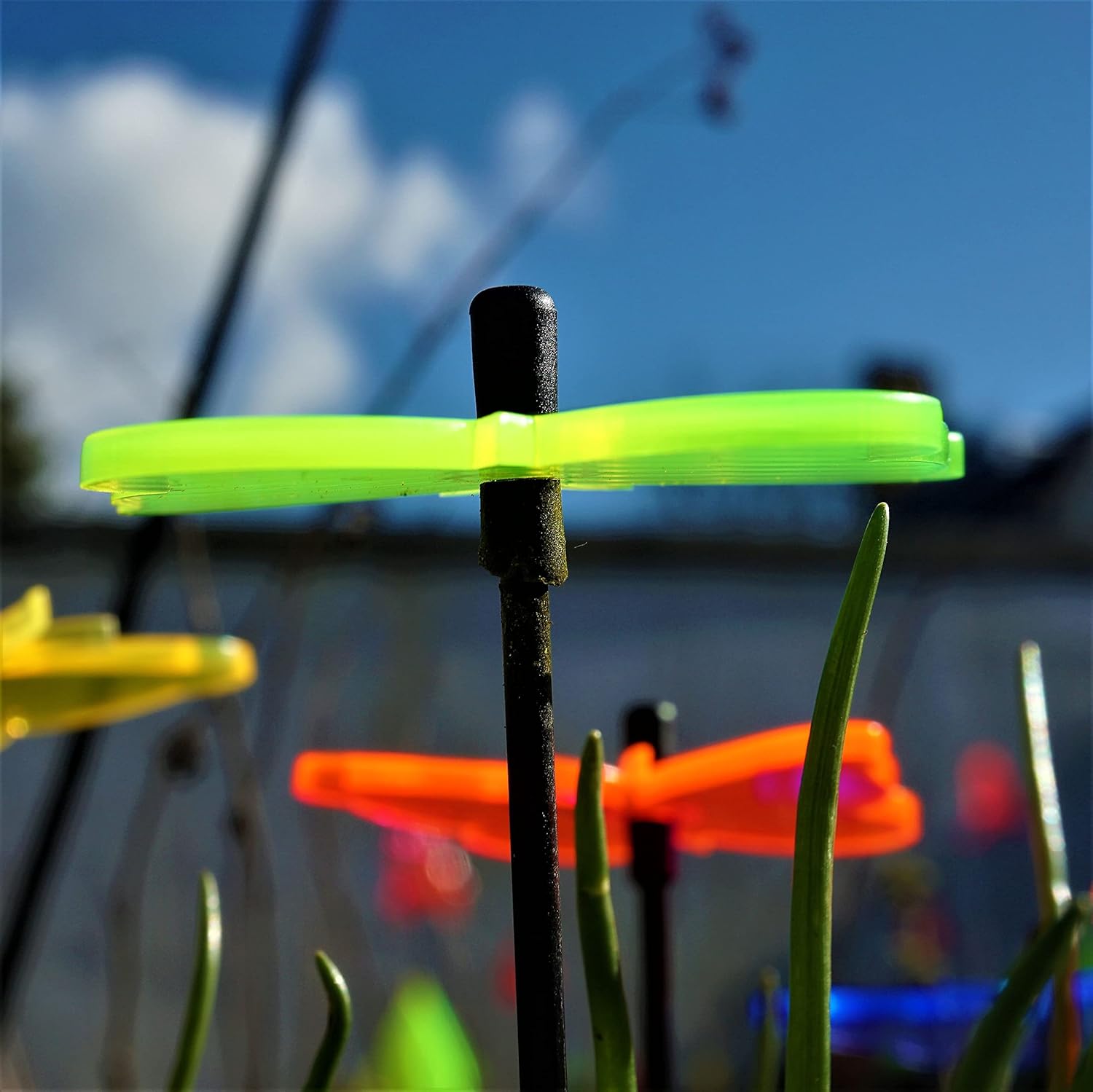 Decorative Garden Stakes Gatekeeper Butterfly | 5X Small Garden Ornaments | Garden Décor Accessory, Colour:All 5 Colours : Patio, Lawn & Garden