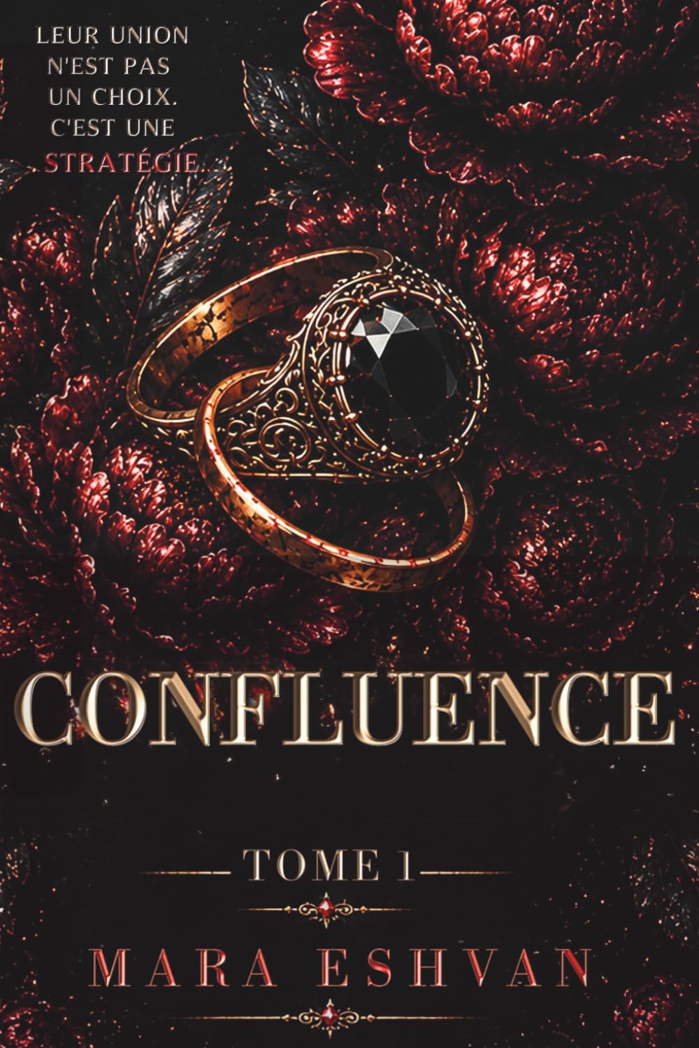 CONFLUENCE: Tome 1