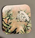 Review Image by David Dorrell David Dorrell