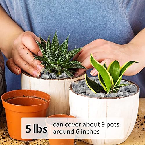 Miniatura 52 de Grava para suculentas y cactus de 10 libras, guijarros pulidos decorativos naturales de 1/5 pulgadas para paisajismo, rocas de río gris