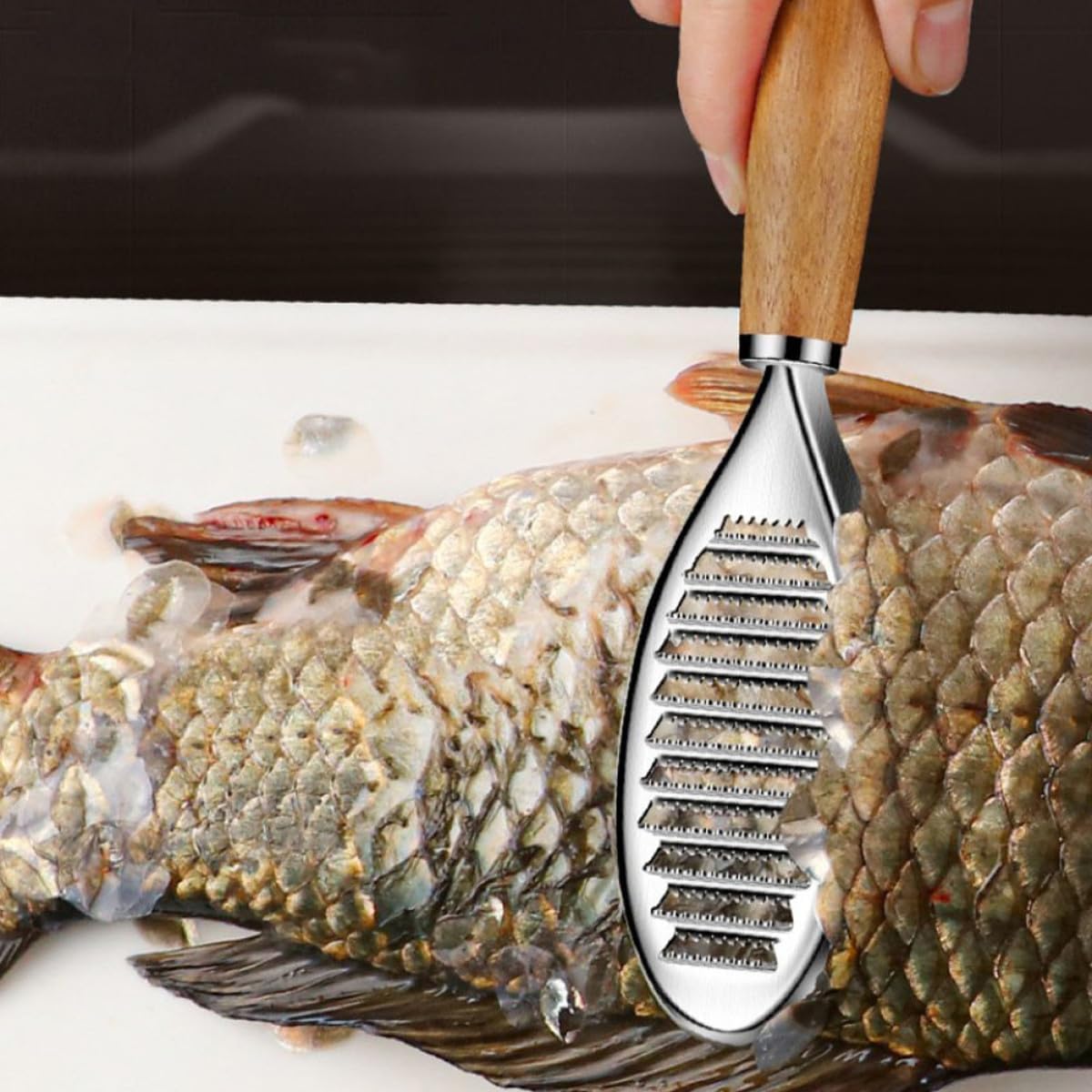 UPKOCH Stainless Steel Scraper Tool Efficient Fish Peeler for Home Restaurant Use Easy to Clean