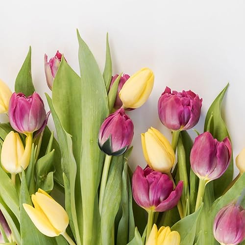 Miniatura 6 de ARTIBETTER 1 juego de 50 piezas de receptáculo floral cálices hojas de rosa suministros de bricolaje herramientas de fabricación de coronas base de