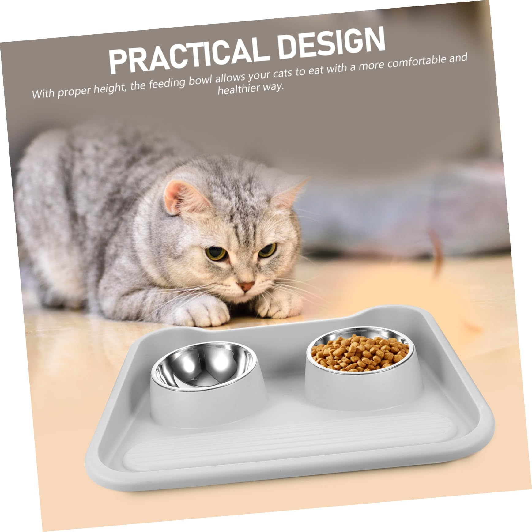 Gamelle Double en Acier Inoxydable et PP pour Chien et Chat | Bavures, Protection du Cou, Bol Stable Anti-basculement, Récipient pour Aliments pour Animaux