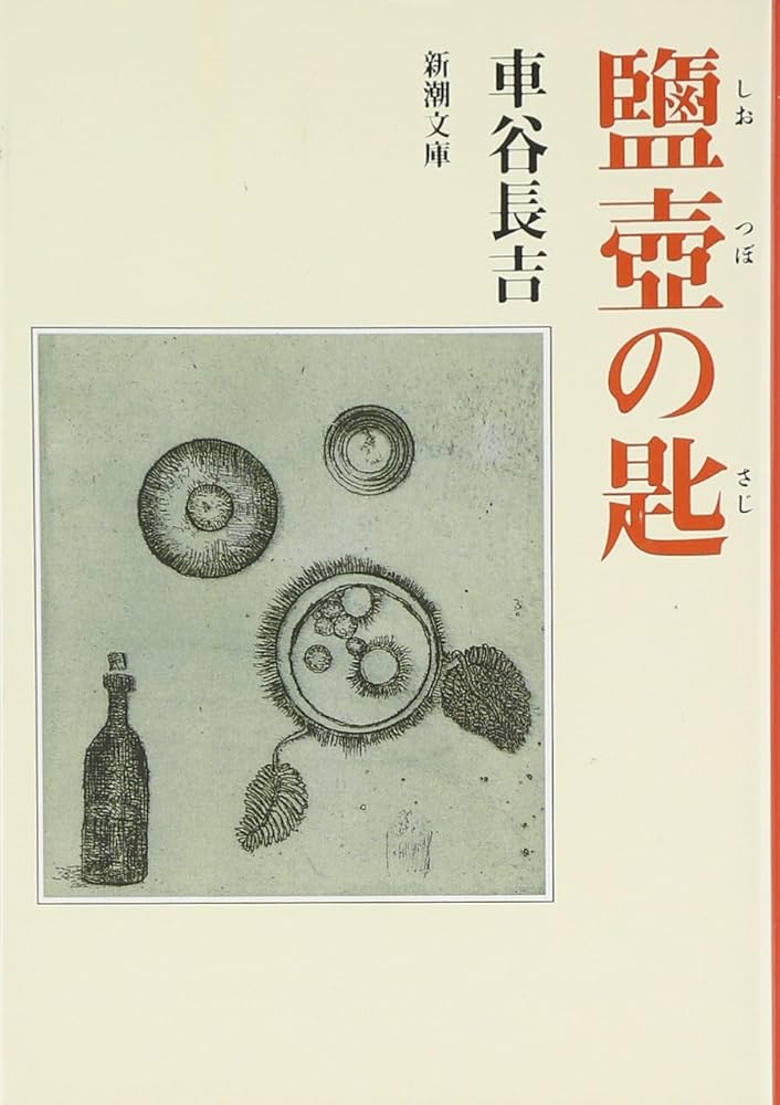鹽壺の匙 (新潮文庫) | 長吉, 車谷 |本 | 通販 | Amazon