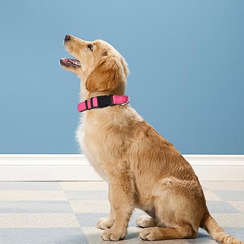 Miniatura 2 de PWOD Collar reflectante para perro, ajustable de neopreno suave acolchado de nailon para mascotas con hebilla para cachorros y perros pequeños,