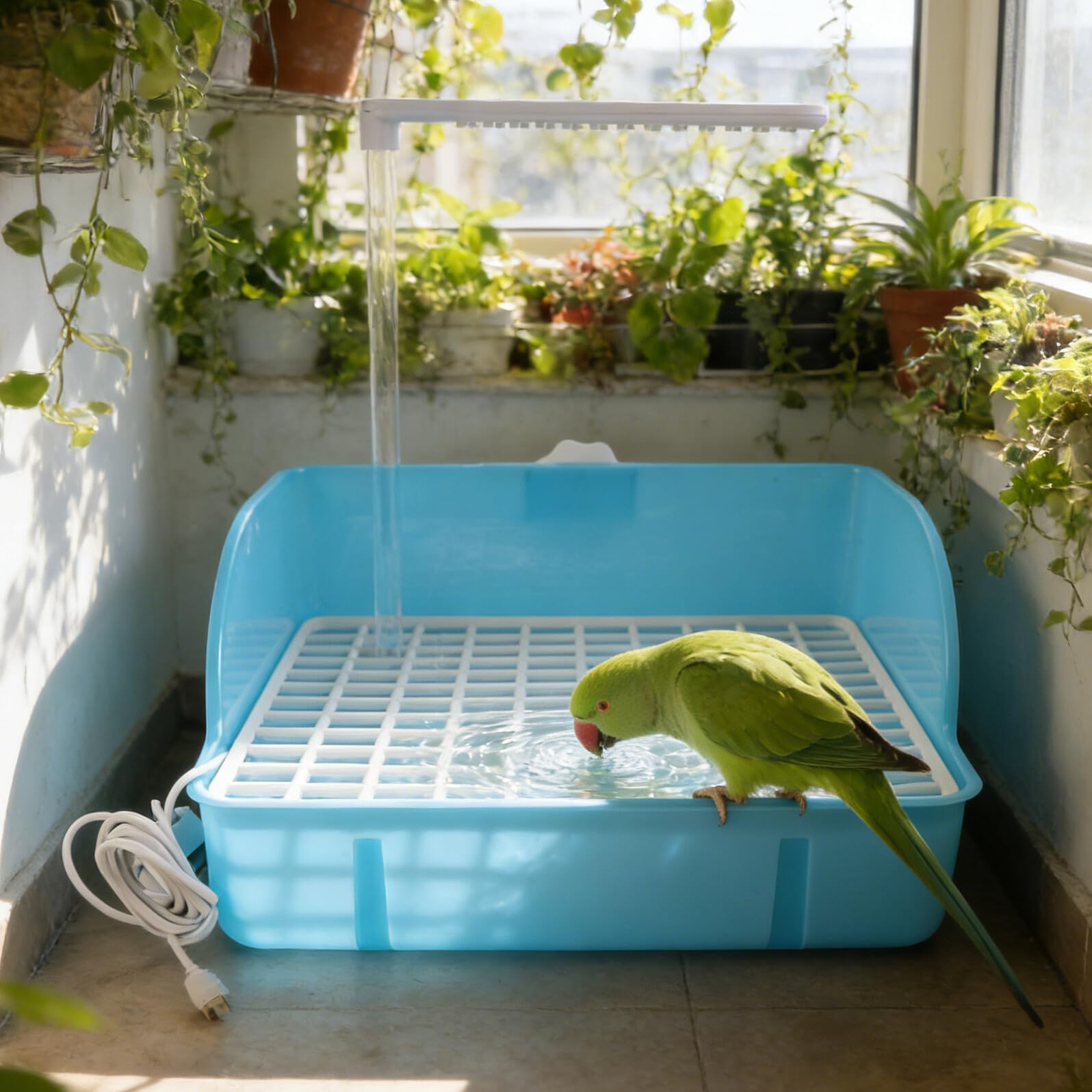Abaodam Papageien Badewanne Vogelbad Dusche Käfigzubehör Kunststoff Hellblau mit Haken für Kleine Vögel Wellensittiche und Kanarienvögel