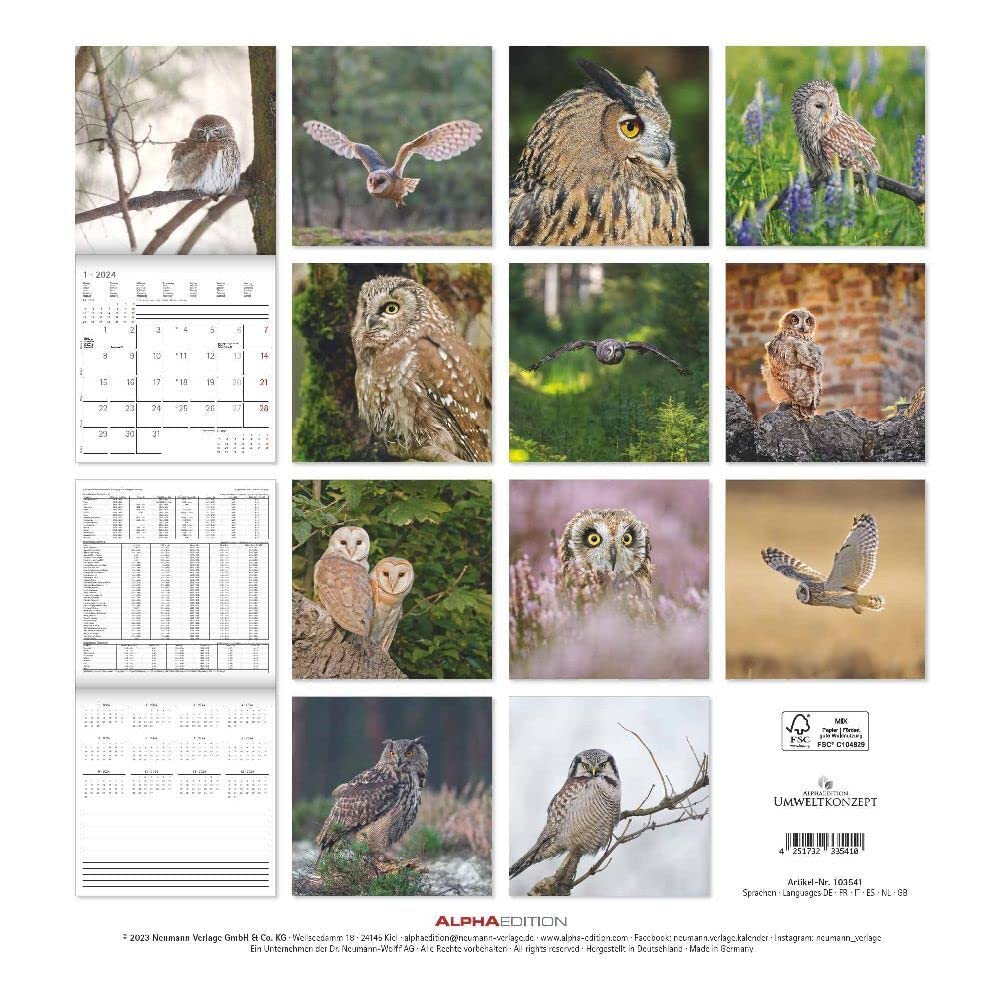 Owls 2024 - Brochure Calendar 30 x 30 cm (30 x 60 cm Open) - Calendar with Space for Notes - Owls - Picture Calendar - Wall Planner - Owl Calendar      Calendar – Wall Calendar, May 1, 2024