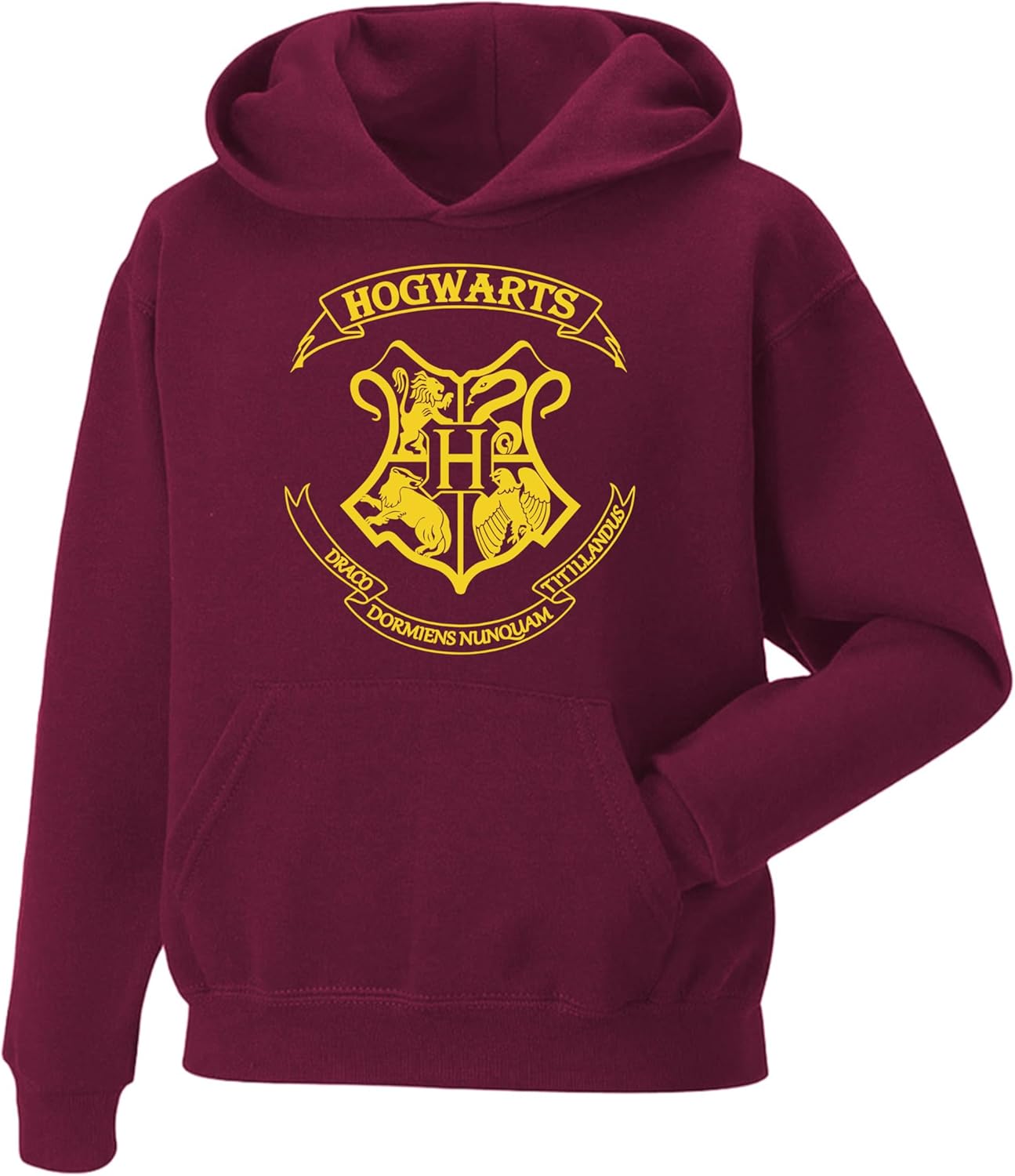 Daily Apparel Men’s Hogwarts Crest Hoodie Unisex Boys Hoodies| Inspired Novelty Hooded Top Premium Pullover Quality Printed Hoodie TV Shows for UK Men/Women for Fans, Birthday Christmas