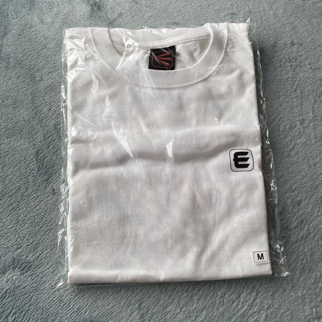 ELLEGARDEN Tシャツ 白 0 ツアーTシャツ T ellegarden Tシャツ